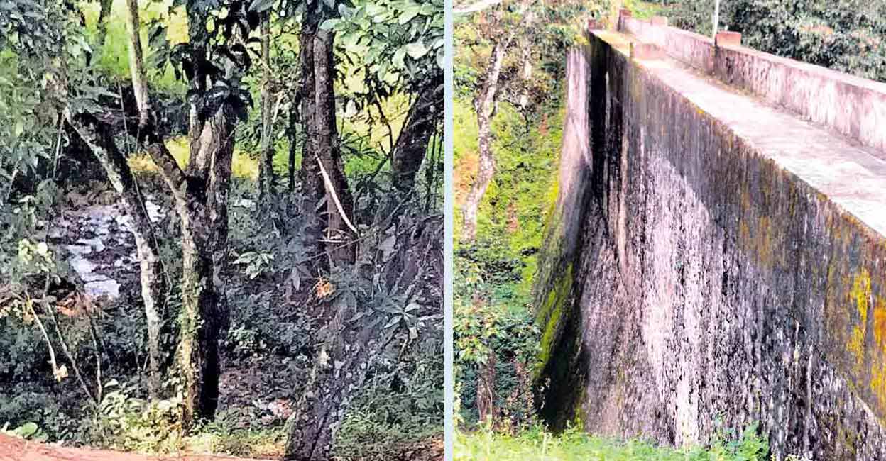 Mullaperiyar Mullaperiyar