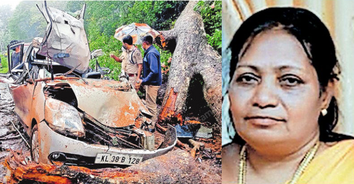 Falling tree kills Idukki woman in moving car; husband, son escape with injuries