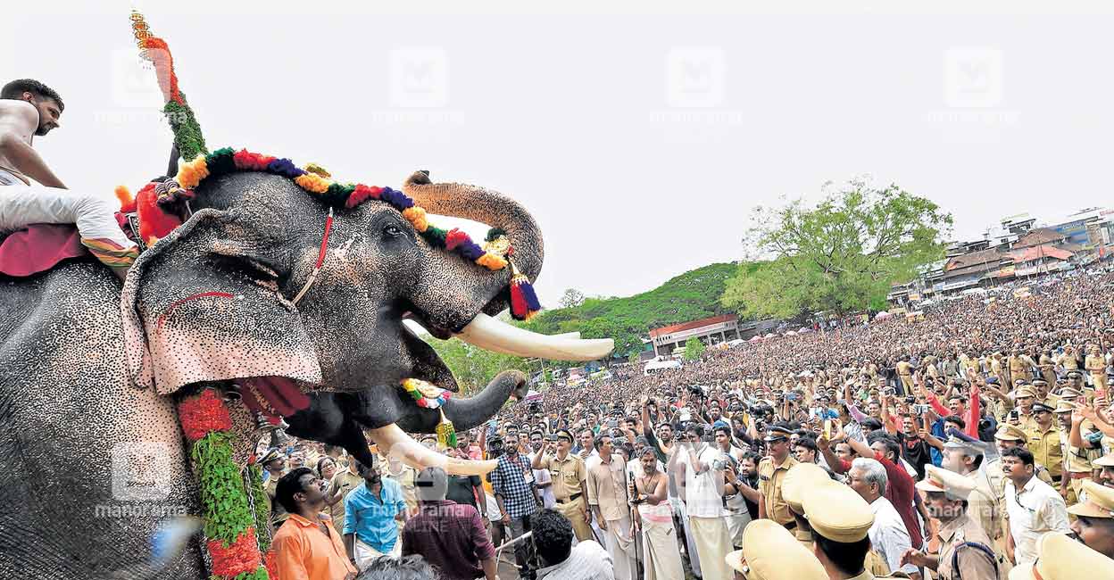 Safety at Thrissur Pooram: QR code bands for kids, mini control rooms and more