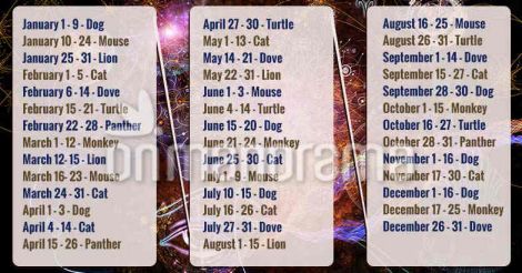 What's your inner animal as per date of birth | Check this list