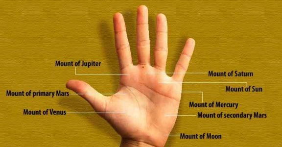 Do you have a mole on this spot of your palm? | Lifestyle Astrology |  English Manorama