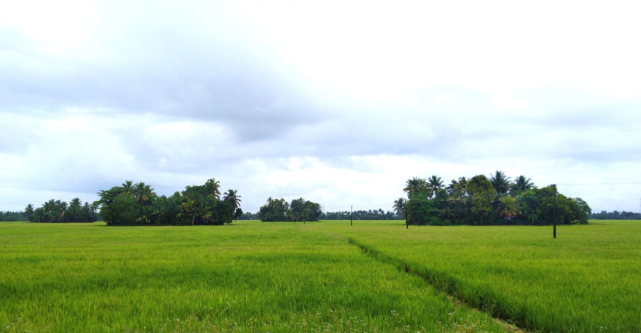 Kuttanad | Kuttanad