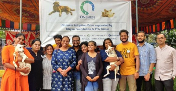 Kochi S Unique Pet Adoption Drive Helps Stray Animals Find Shelters Give a pup a second chance at life and gain a loyal, loving companion through our adoption program.