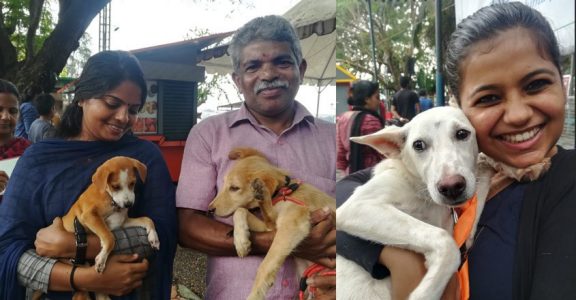 Kochi's unique pet adoption drive helps stray animals find shelters