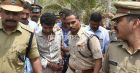 Pulsar Suni Pulsar Suni