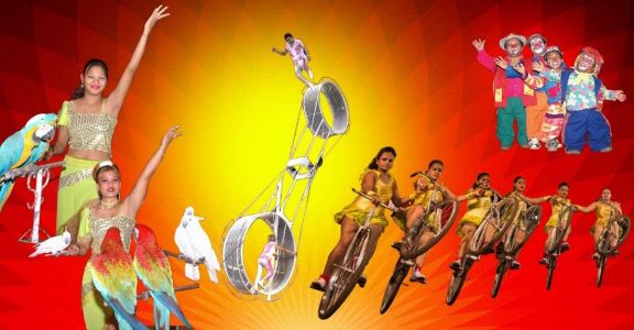 Circus artistes on a tightrope walk: Blame it on lockdown, demonetisation &  animal ban | Kerala News | English Manorama