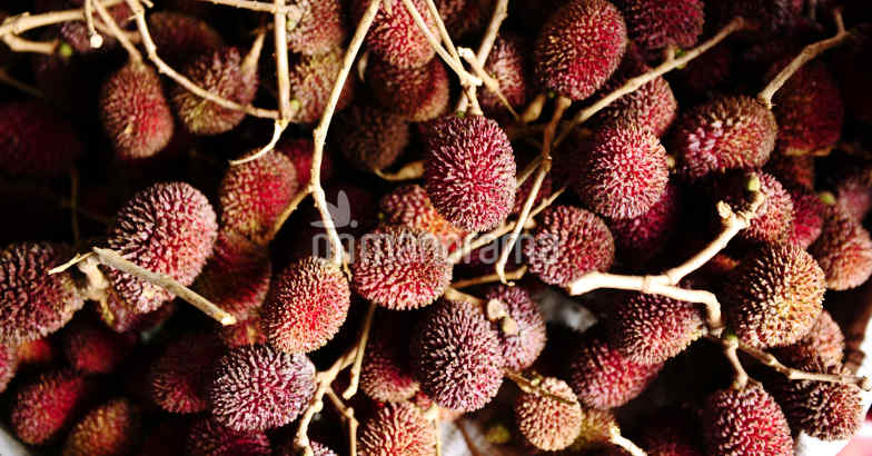 Litchis killing kids in Bihar, says Lancet study