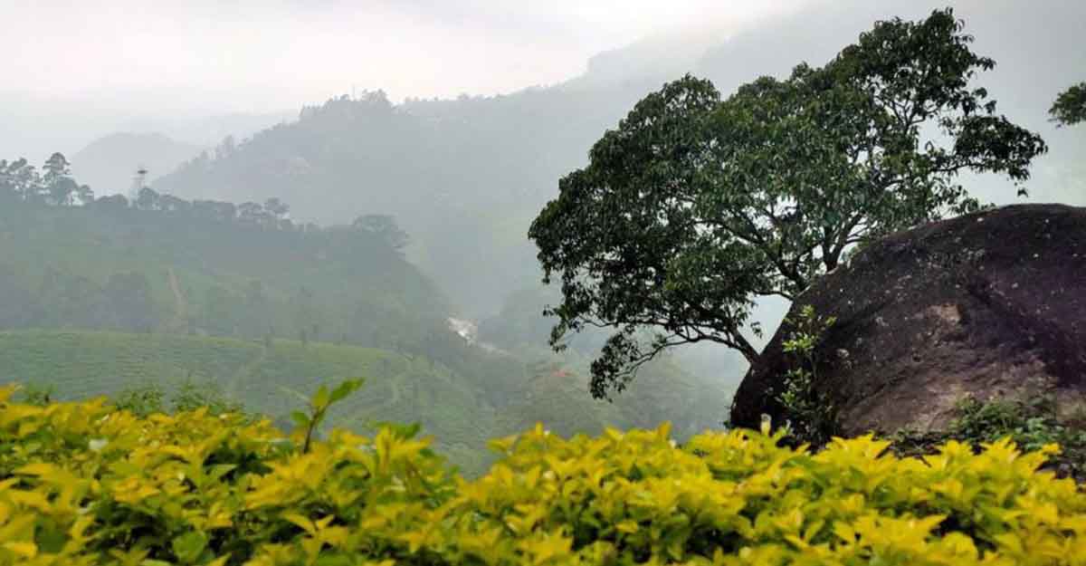 Not just Munnar, this district in Kerala has many touristy gems