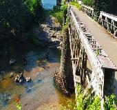 Visit Mathikettan Shola To Experience Cool Weather Even In Summer Travel Idukki Manorama English Mathikettan shola national park lies i the area of santhanpara in kerala. visit mathikettan shola to experience