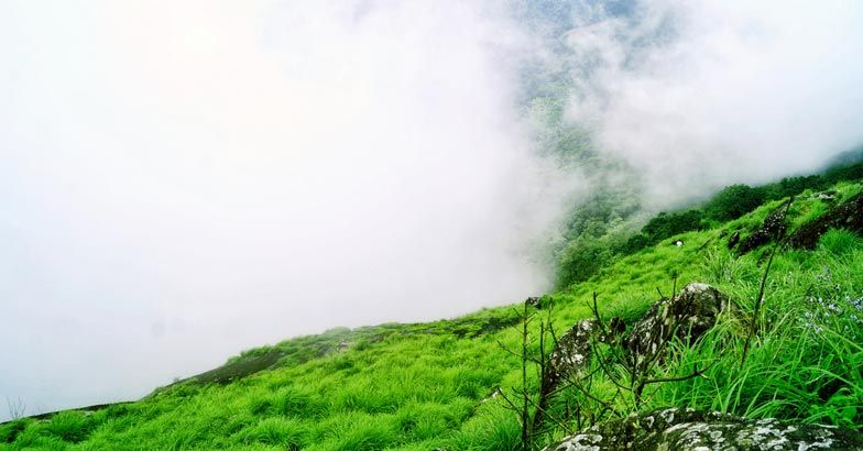 Ponmudi - Kerala’s golden peak | Weekend destination from Thiruvananthapuram