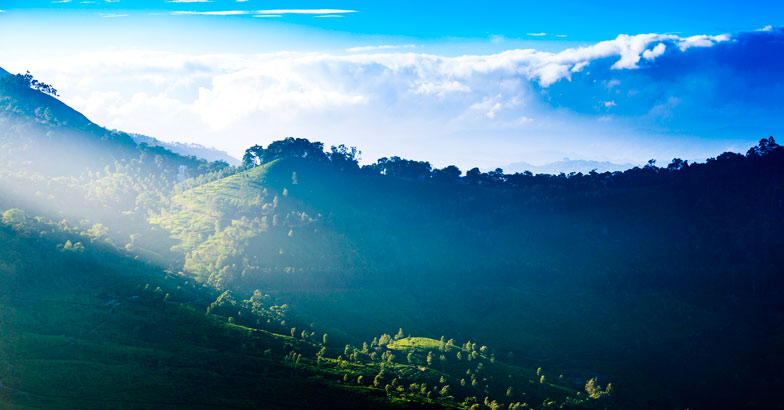 Reasons why you should head out to Munnar now