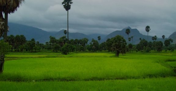 Farm tourism: A way of life in Kerala | Hourglass | Travel | Manorama  English
