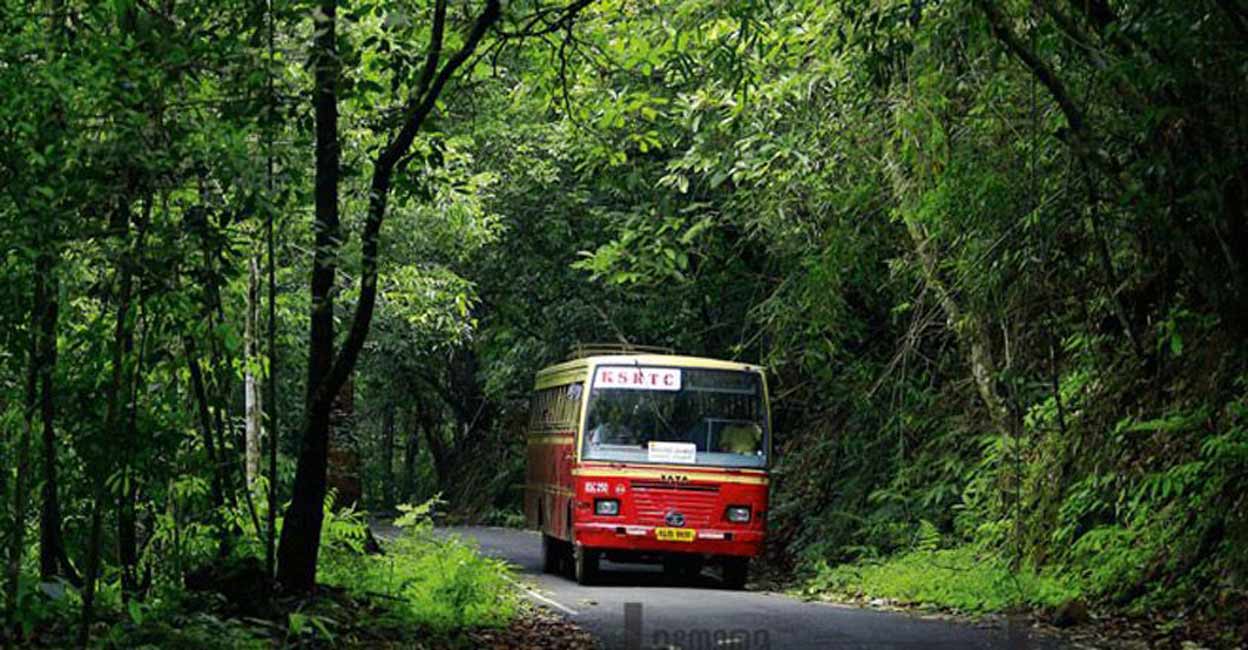 Take a one-day bus ride on the serene Chalakudy-Malakkappara route for just Rs 204! 