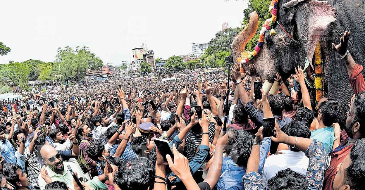Thrissur Pooram today: Here’s what you need to know