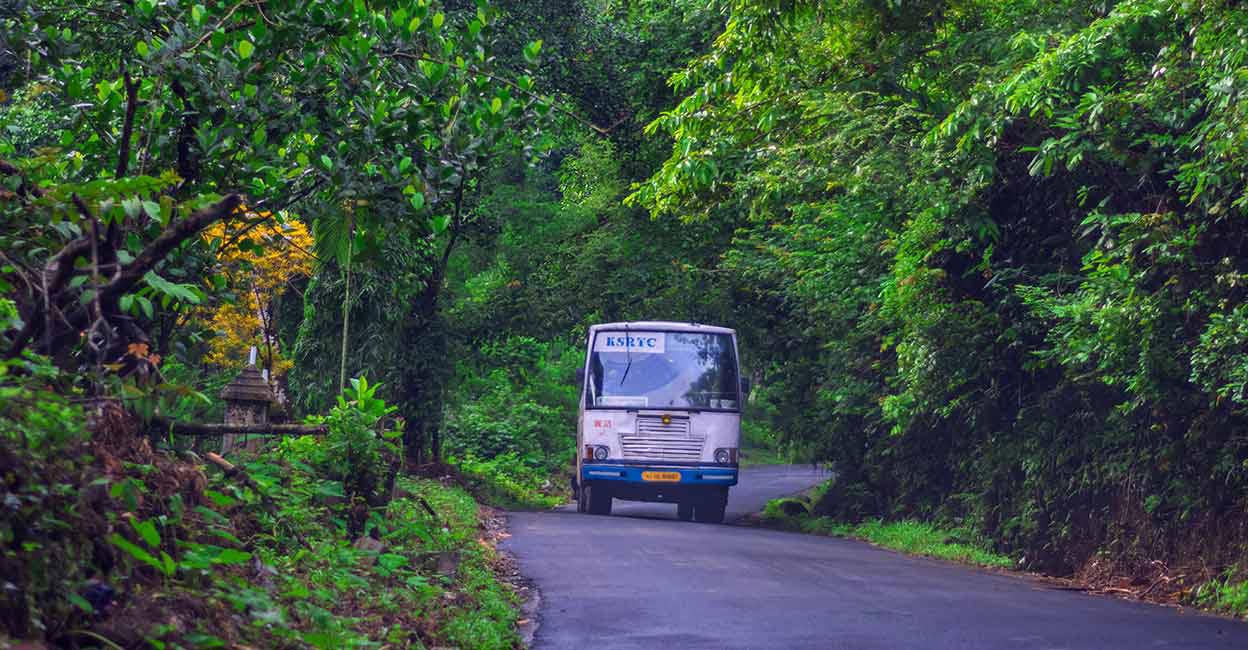 Enjoy a scintillating trip to Gavi in KSRTC’S budget-friendly tour packages