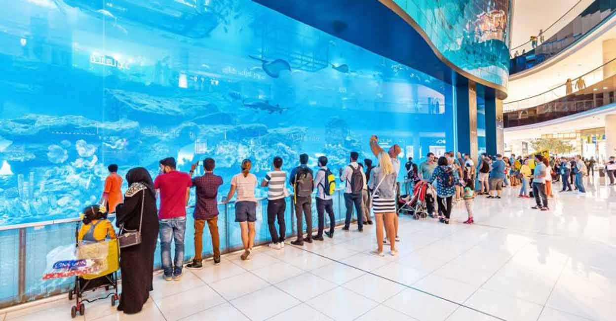 Dubai aquarium and underwater zoo | Dubai Travel Guide  