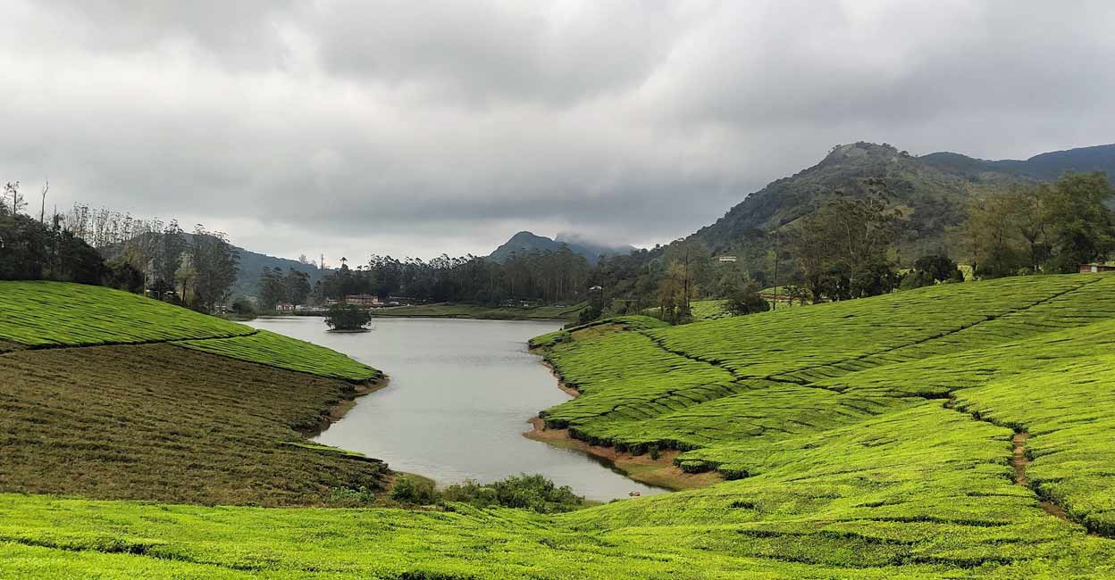 A drive from Thekkady to Meghamalai can be as enchanting as ever