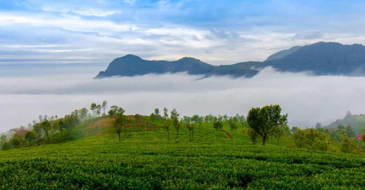 Planning to make a trip to Ooty? You need to get an e-pass
