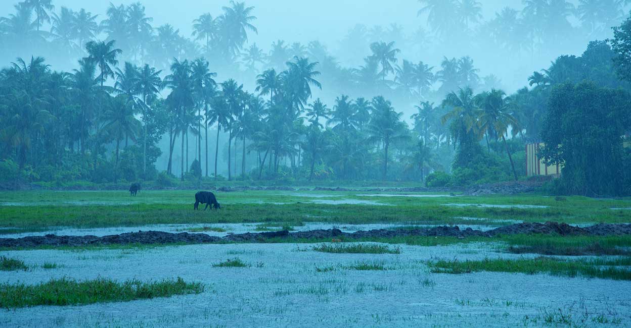 Heavy rain in Kerala: These tourist spots are closed, see details
